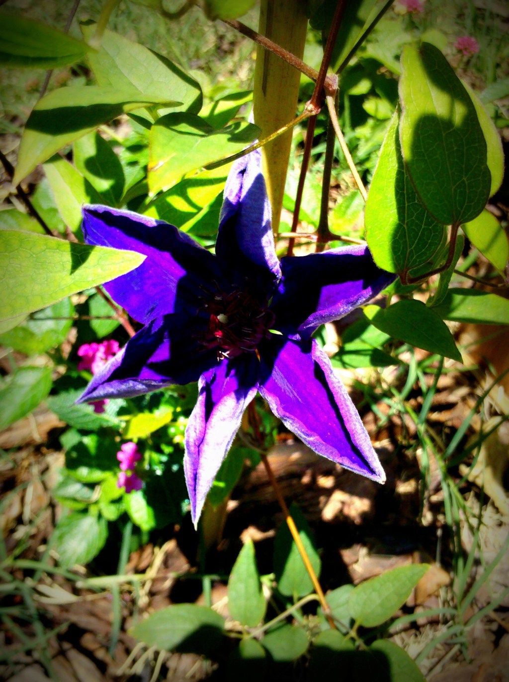 Got groundlessness? Touch the&nbsp;earth.