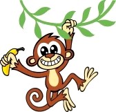 monkey with banana