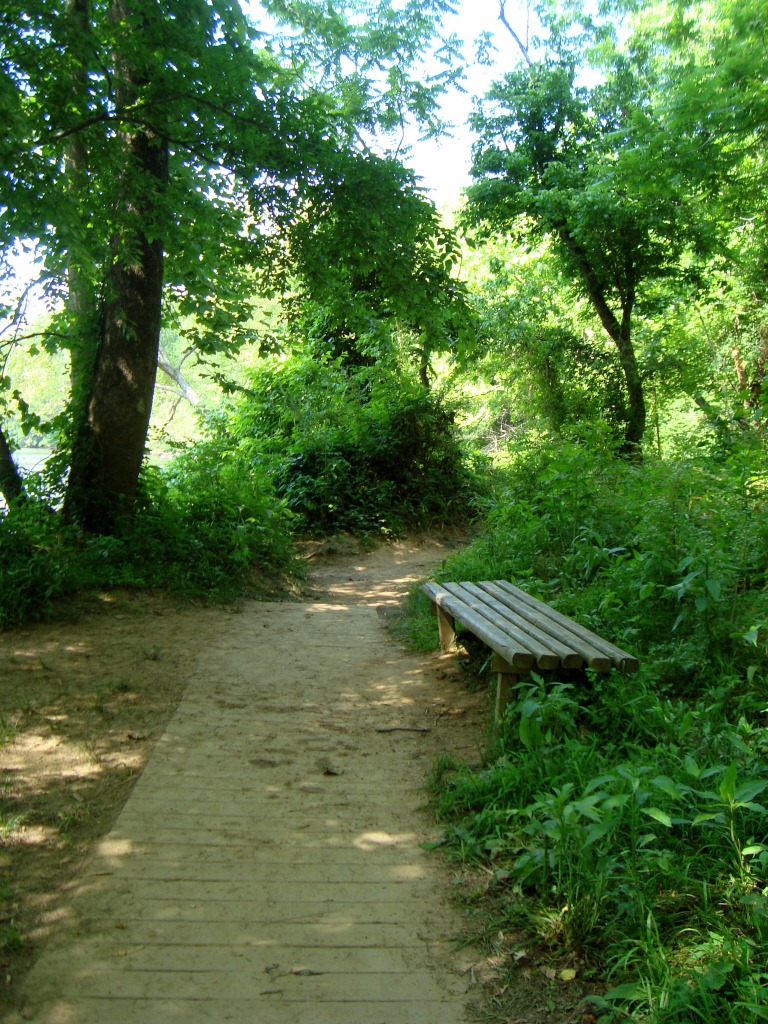 Psalm 23 Summer Faith Challenge: honoring God’s&nbsp;name