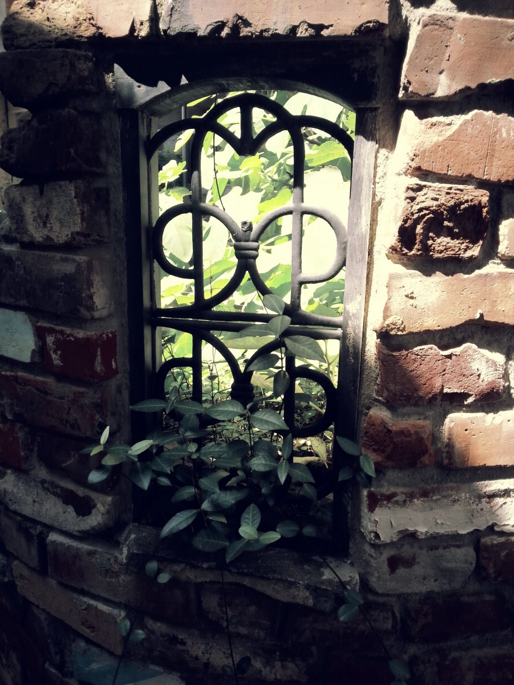 Life is my&nbsp;monastery