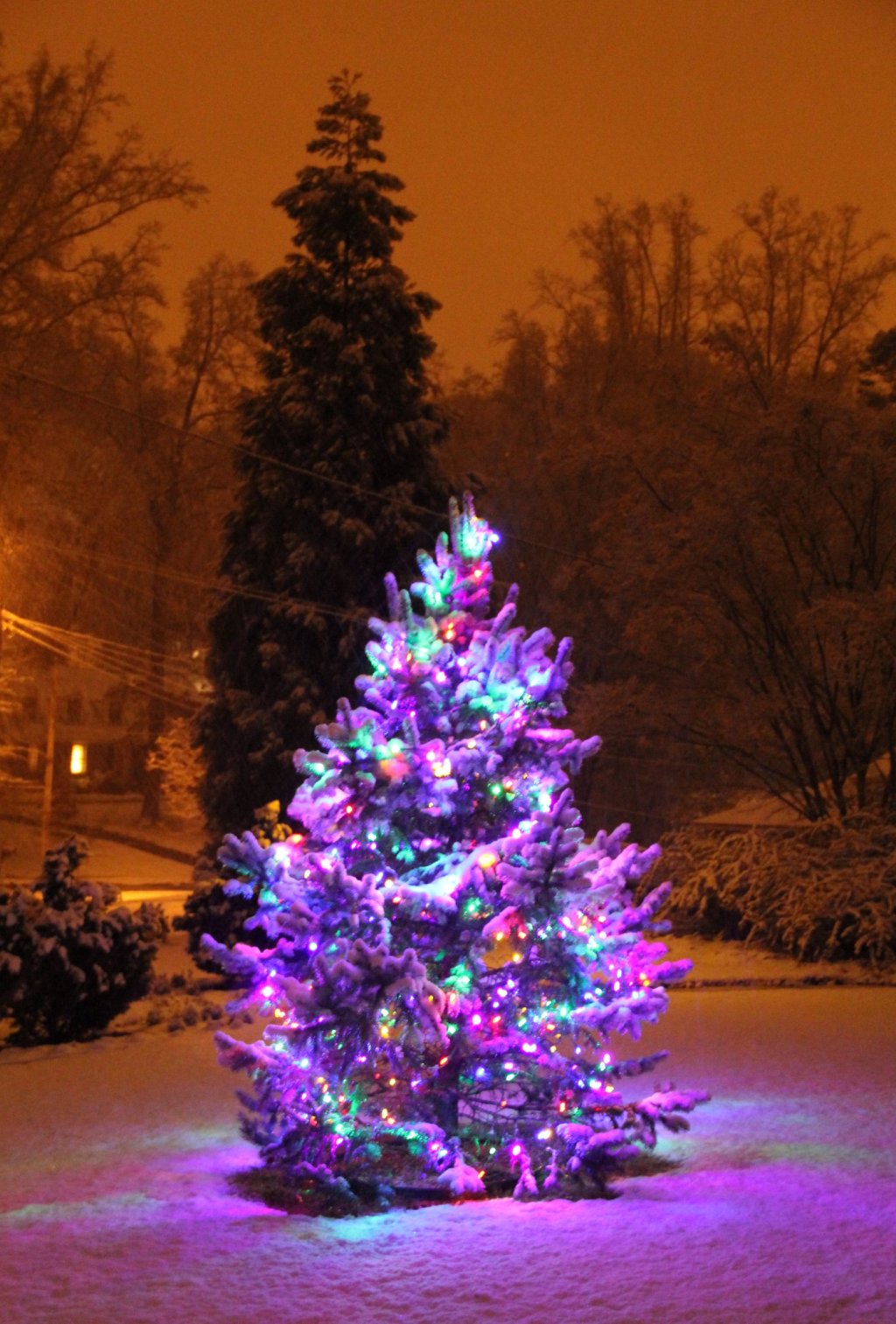 Give in to wonderment (Advent Day&nbsp;16)