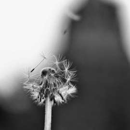 letting go, forgiveness by Cornelli2010