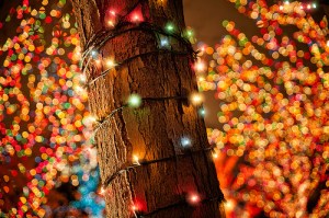 Christmas lights