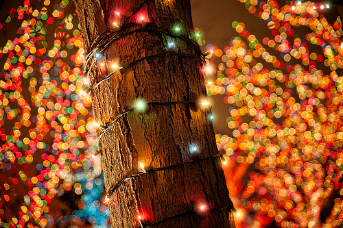 Give yourself permission to say no (Advent Day&nbsp;11)