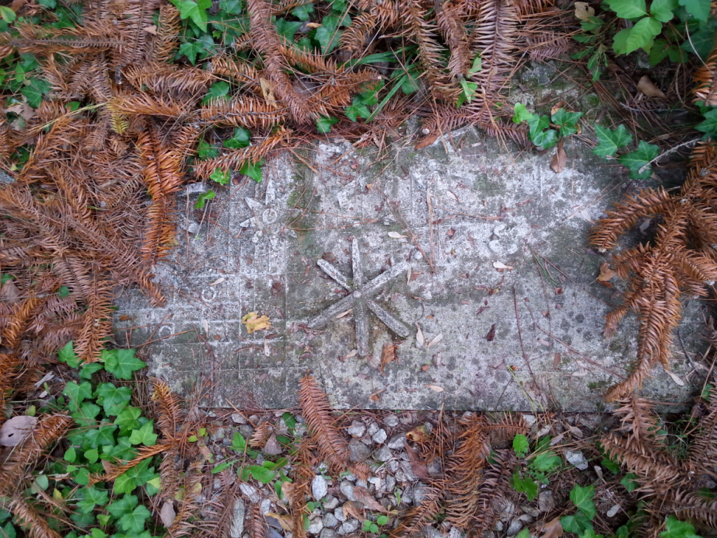 Cryptic Stars (a&nbsp;poem)