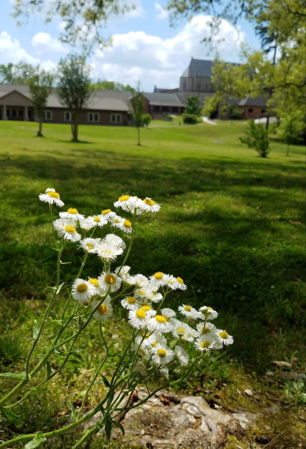 The abundance of just&nbsp;enough